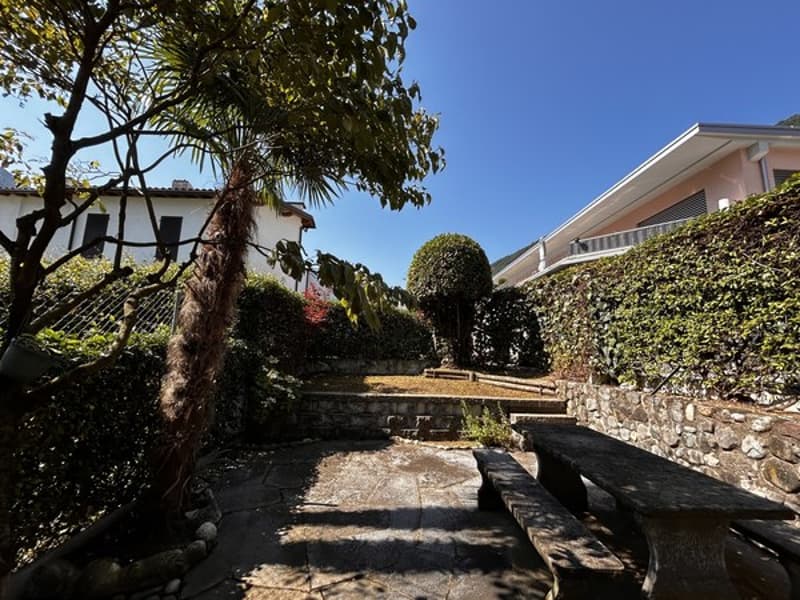 Stone wall, stone benches, stone table, trees, bushes, plants, house in the background