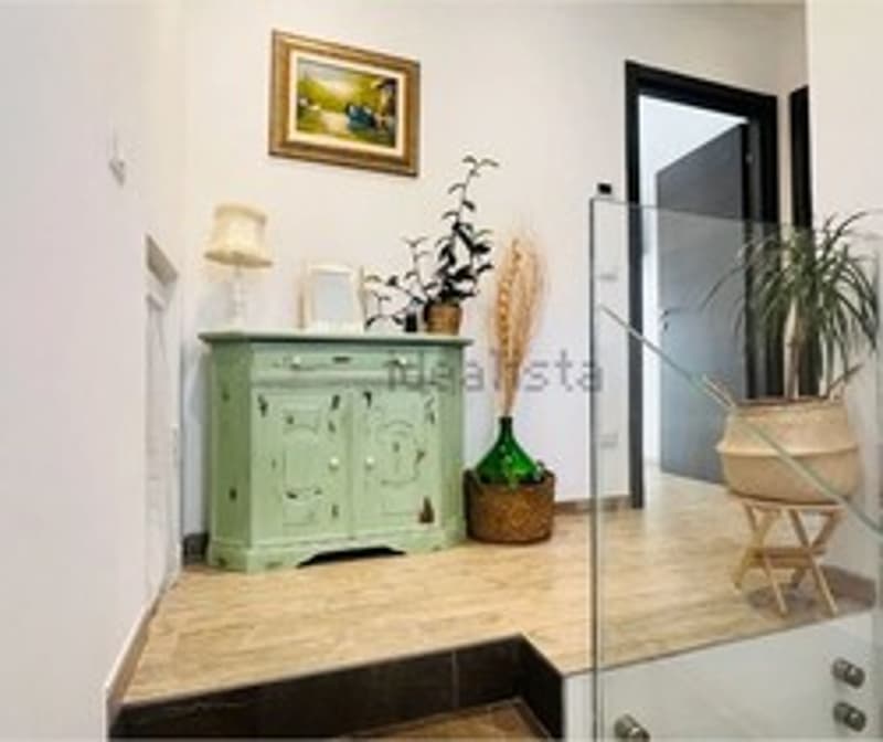 Raised ground floor, green cabinet, glass wall, potted plants, mirror, lamp