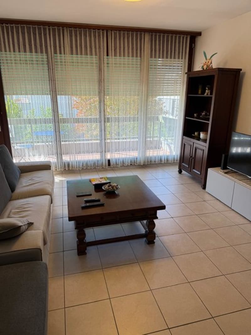 Sofa, coffee table, television, curtains, wooden cupboard, remote controls