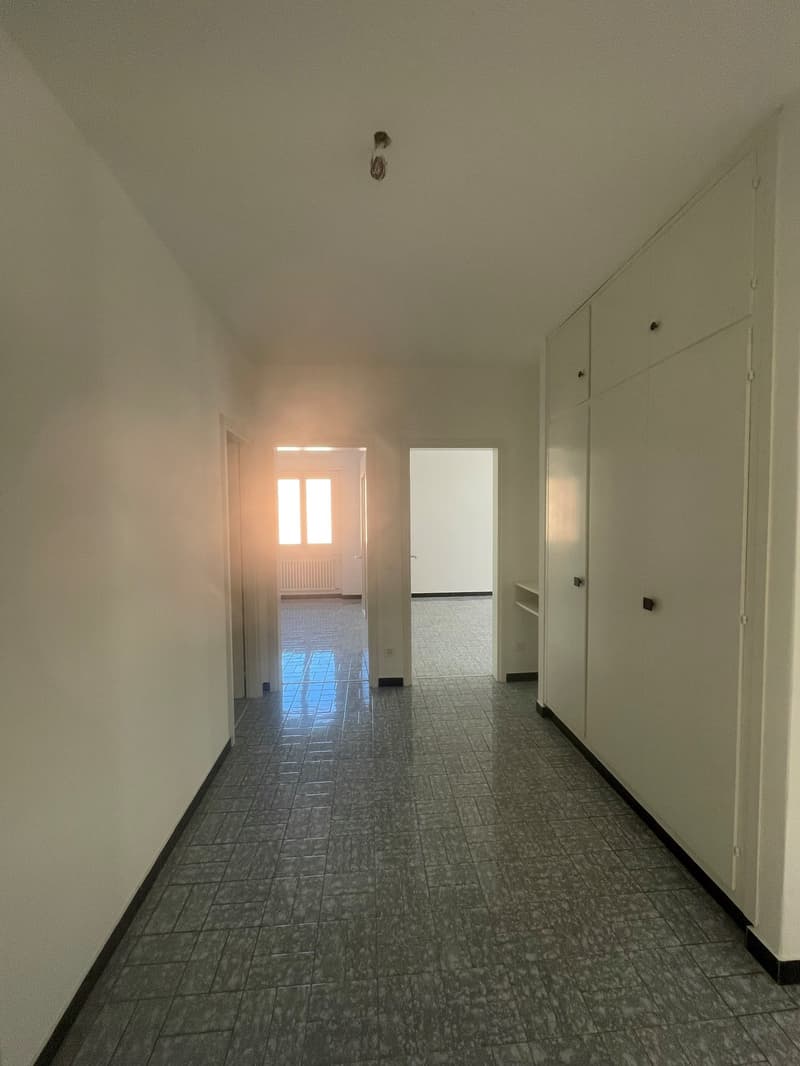 Renovated 4-room apartment in Riva San Vitale (7)