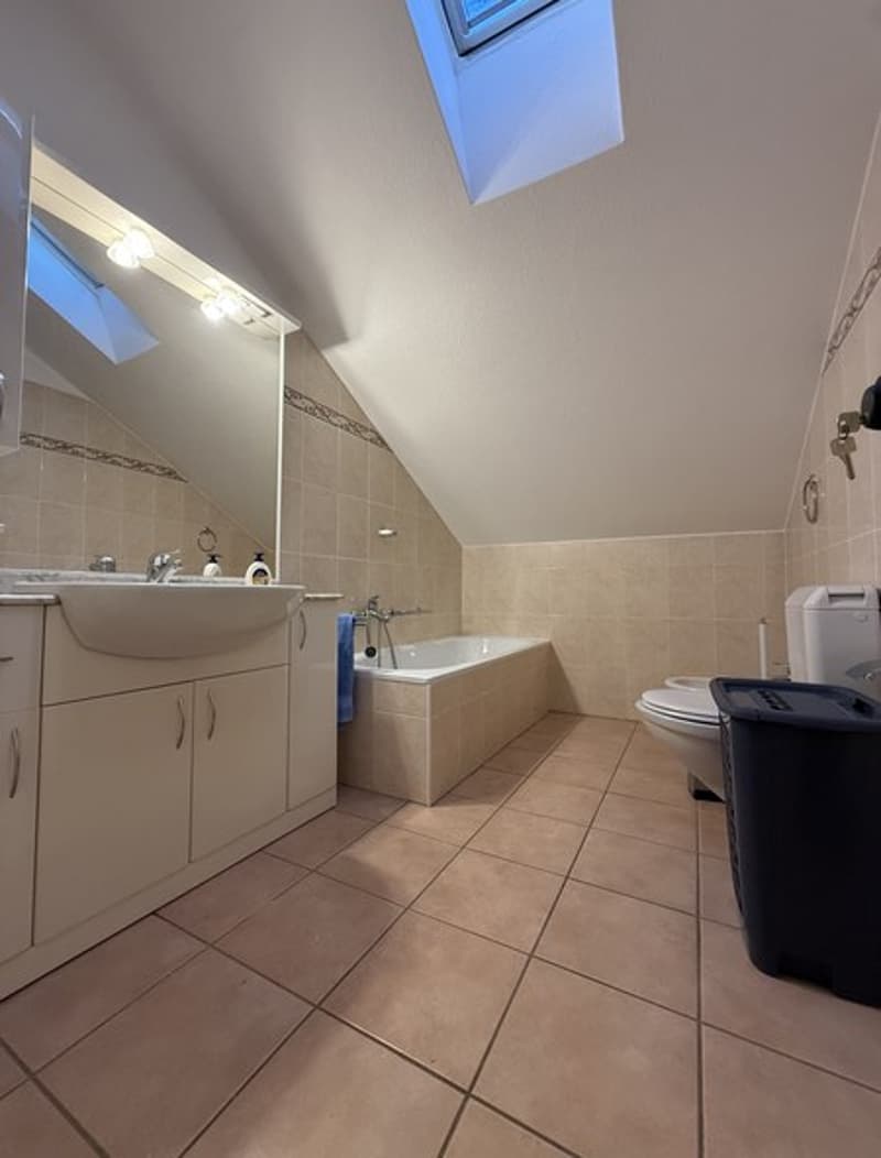 Bathroom with bathtub, toilet, sink, large mirror, and skylight.