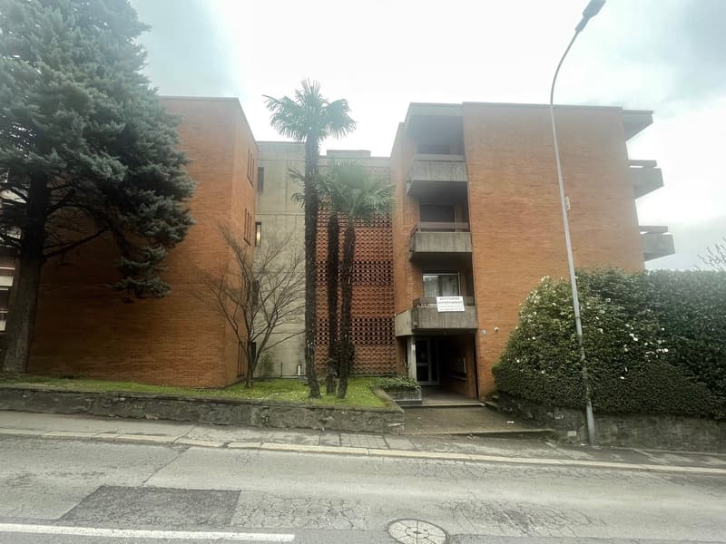 Appartamento rinnovato di 4.5 locali a Massagno (12)
