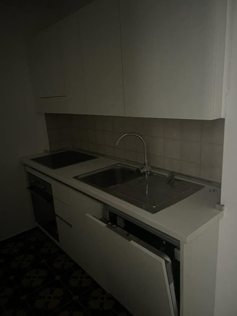 white cabinets, two burners, sink, faucet, dishwasher drawer, washing machine