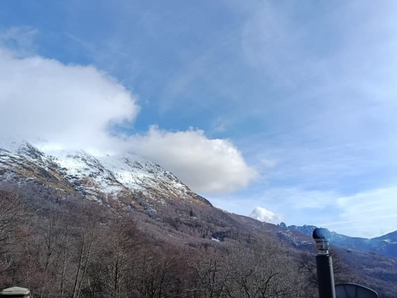 Mountain view, deciduous trees, snow on mountain top, clear sky