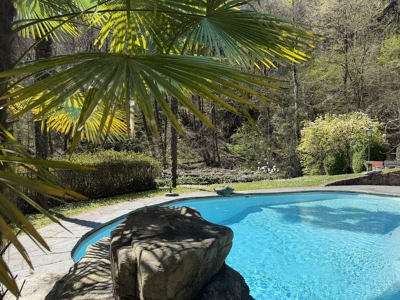 Oggetto per amatori - Liebhaber Objekt - Property suited to connoisseurs (2)