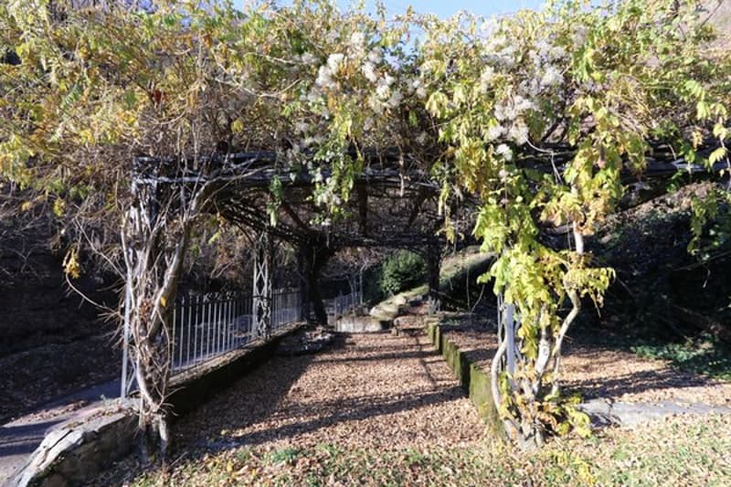Oggetto per amatori - Liebhaber Objekt - Property suited to connoisseurs (9)
