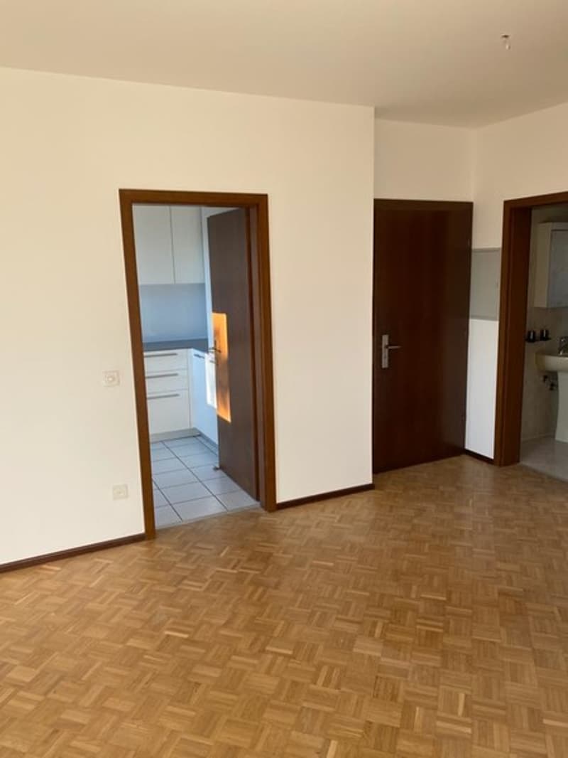 The image shows an empty apartment with a hardwood floor, white walls, and two doorways leading to other rooms. The apartment appears to be unfurnished, with a clean and minimalist design.