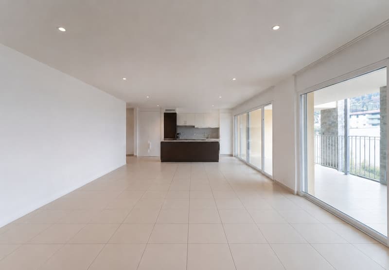 Spacious 2.5-room apartment (3)