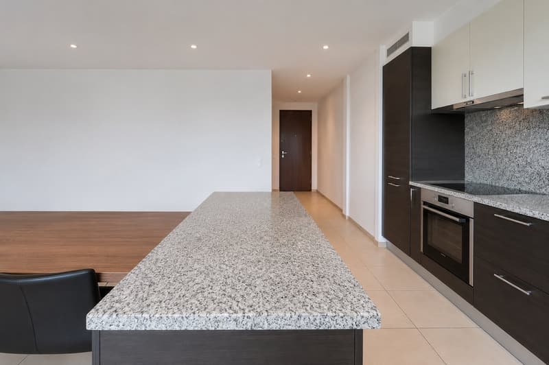 Spacious 2.5-room apartment (4)