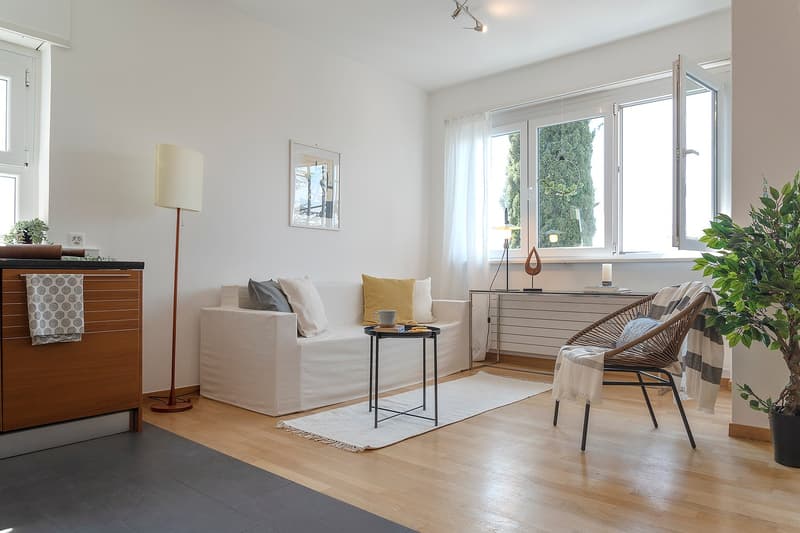 white sofa, white rug, side table, floor lamp, wooden floor, white walls, large windows, view of trees