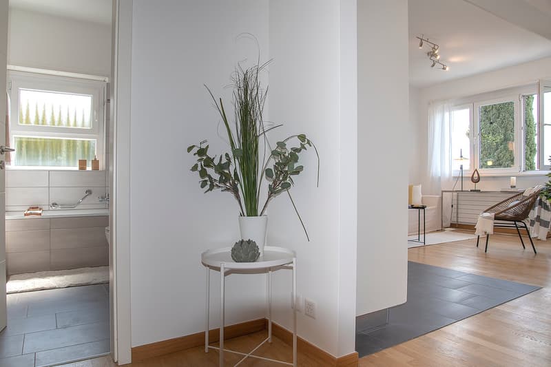 modern interior, white walls, wooden floor, white table with plant, open door to bathroom