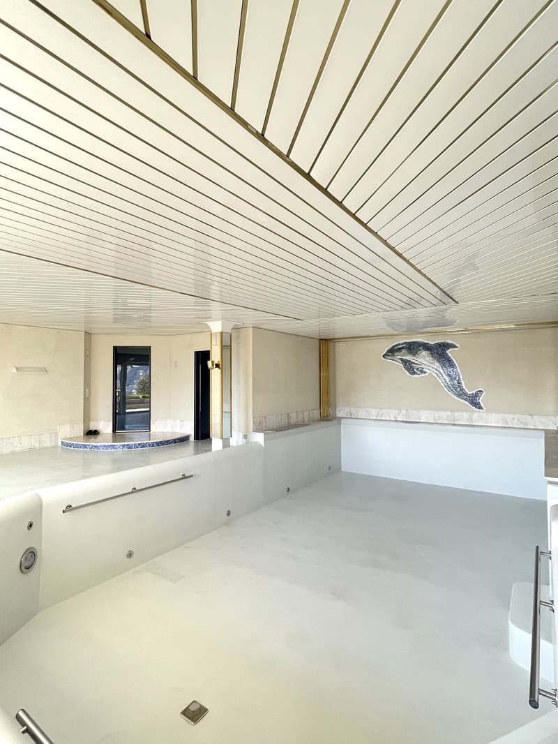 An empty room with a white ceiling, walls, and floor. There is a dolphin mural on the wall and a small circular platform in the center. Two doors are on the left side, and a handrail is on the right side.