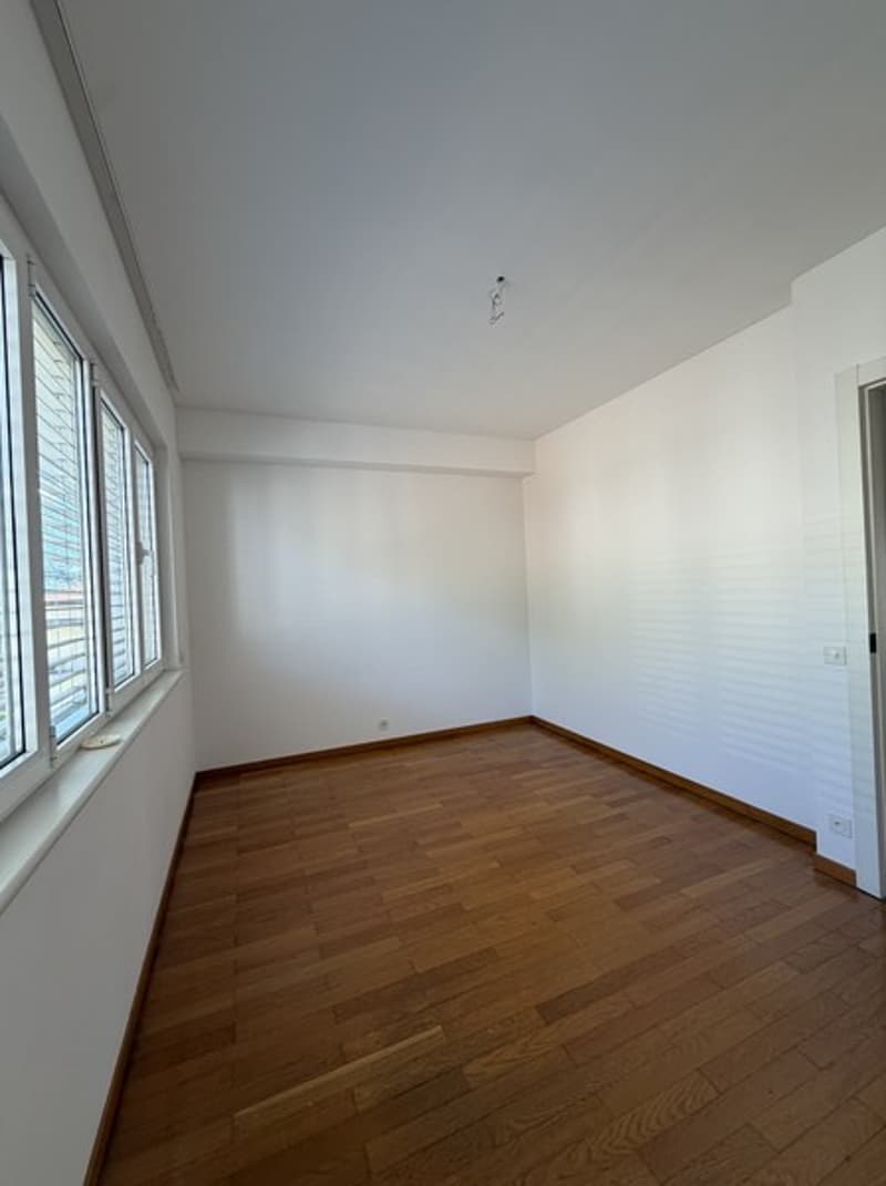 Lugano-Cassarate. Wir vermieten 3.5-Zimmer-Wohnung mit Seeblick (8)