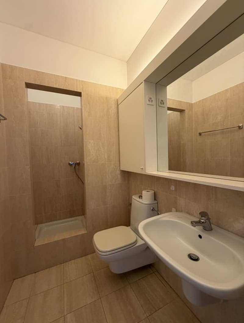 Lugano-Cassarate. Wir vermieten 3.5-Zimmer-Wohnung mit Seeblick (10)