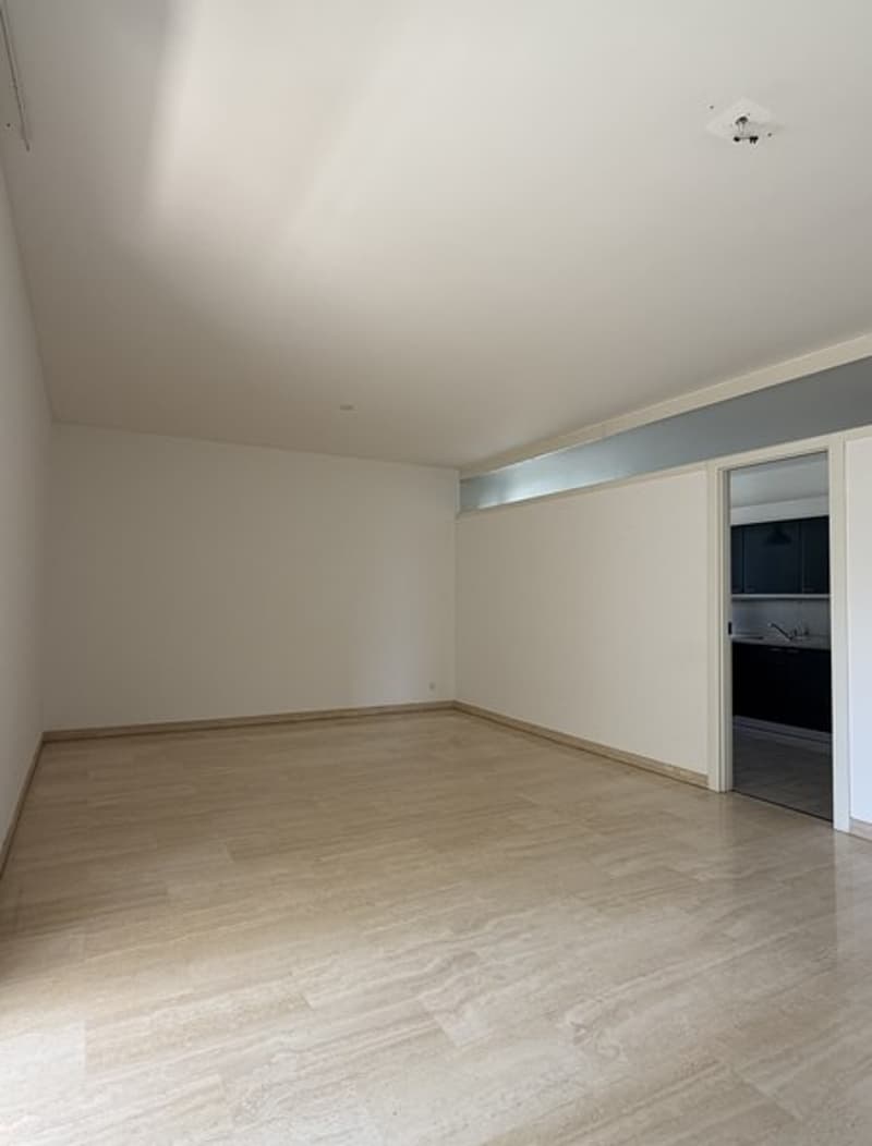 Lugano-Cassarate. Wir vermieten 3.5-Zimmer-Wohnung mit Seeblick (3)