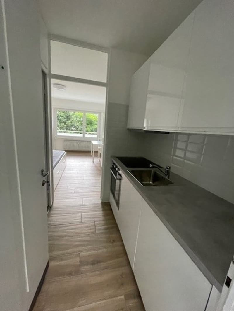 We rent a furnished studio apartment in the city center near USI (3)