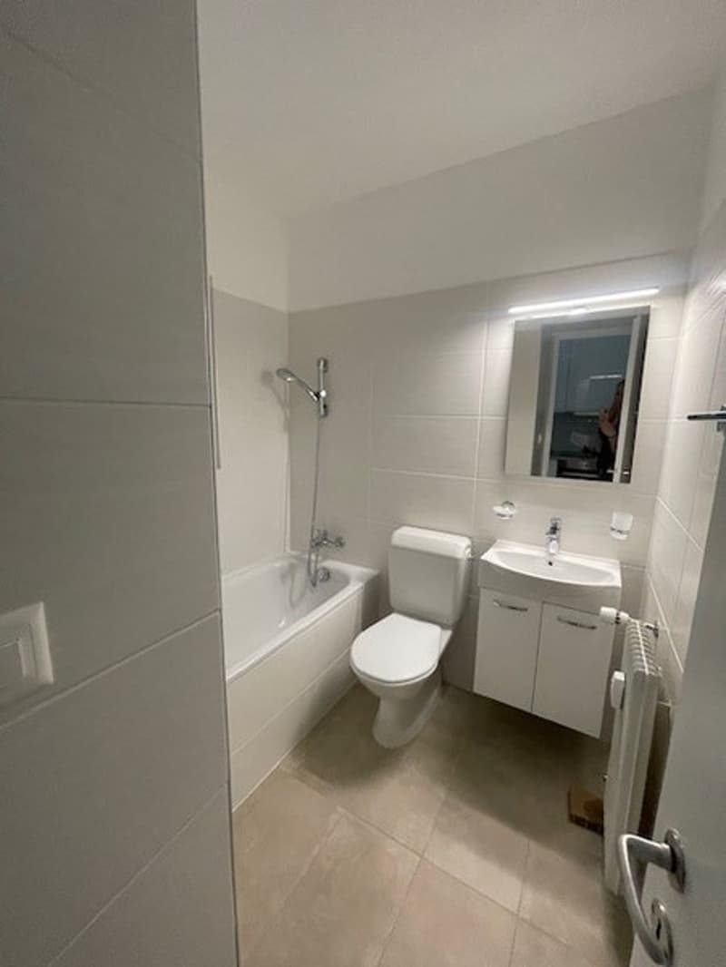 We rent a furnished studio apartment in the city center near USI (4)