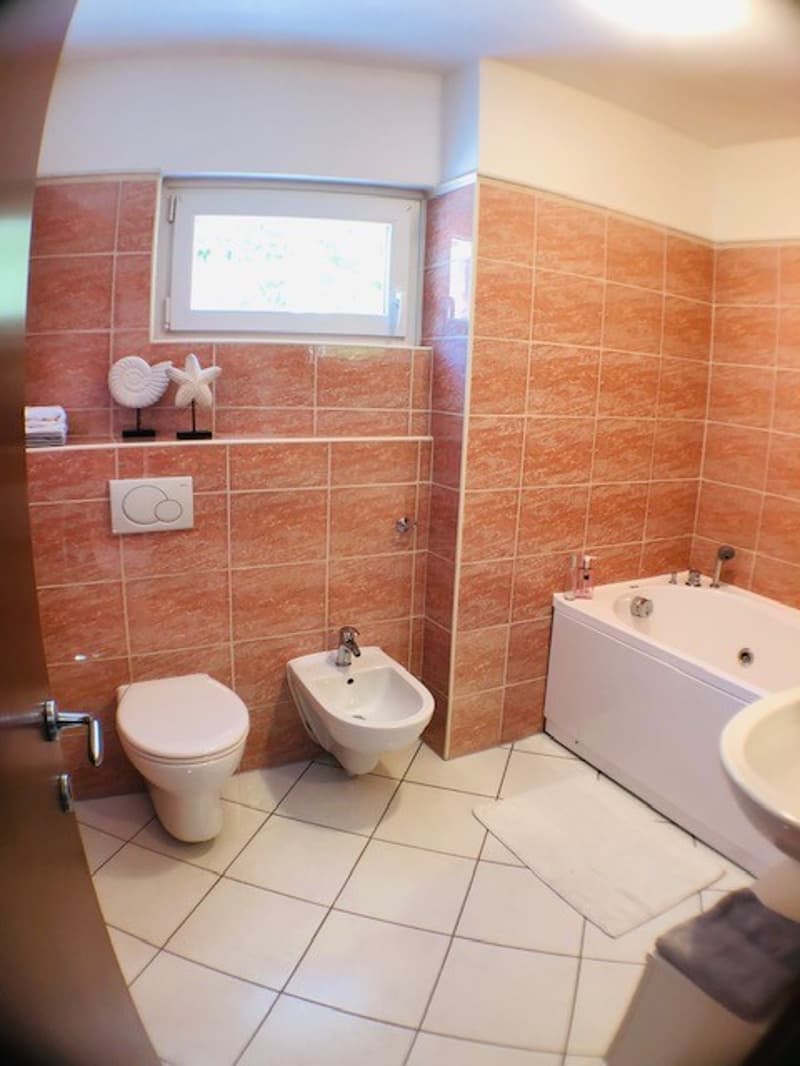 Wir vermieten ein wunderschönes und geräumiges 4.5-Zimmer-Apartment (14)