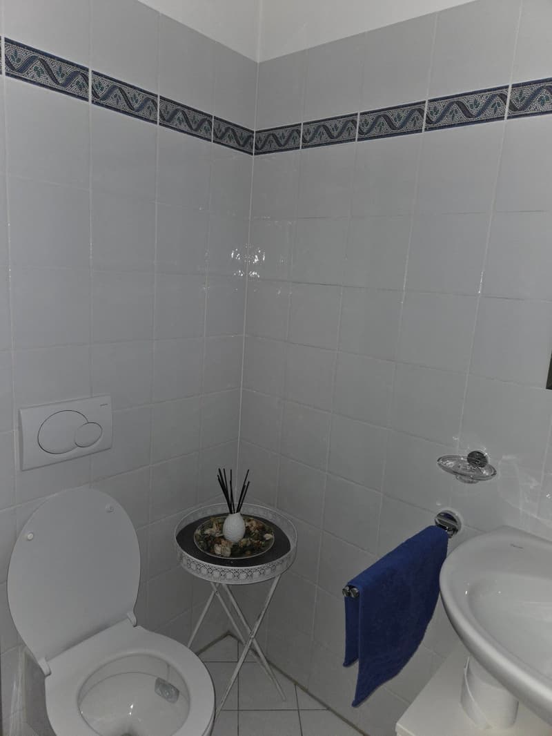 Nous louons un bel et spacieux appartement de 4,5 pièces (5)