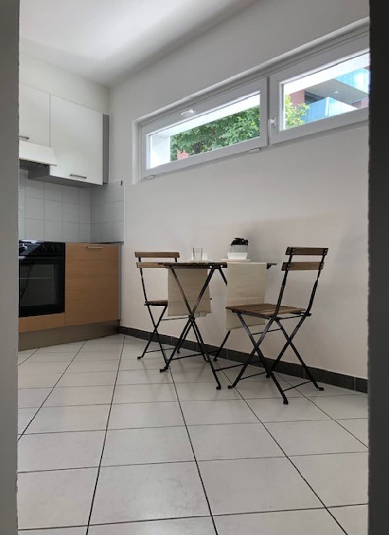 Wir vermieten ein wunderschönes und geräumiges 4.5-Zimmer-Apartment (7)
