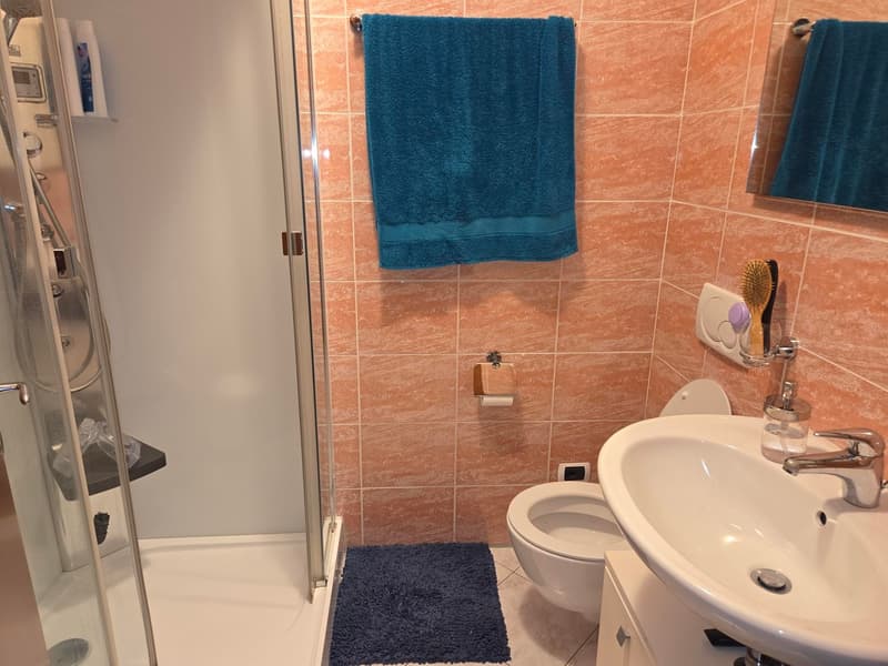 Nous louons un bel et spacieux appartement de 4,5 pièces (6)