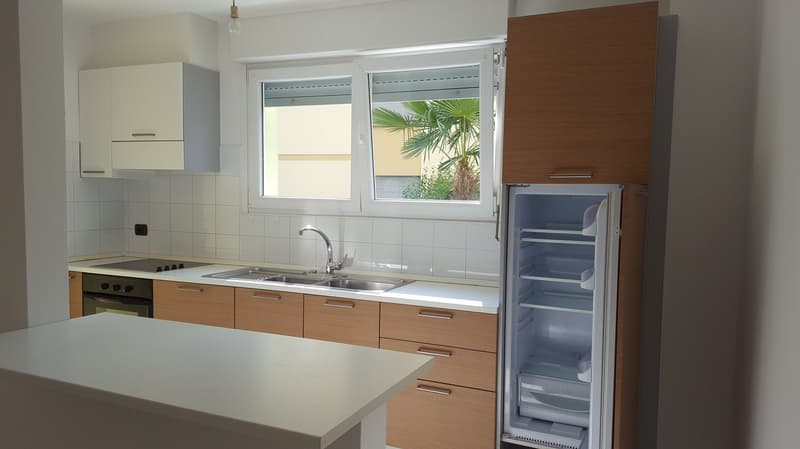 Nous louons un bel et spacieux appartement de 4,5 pièces (2)