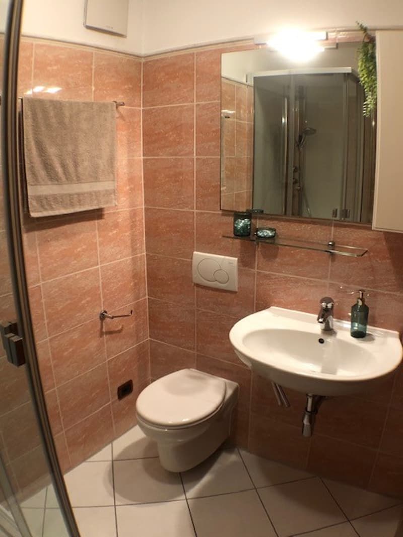 Wir vermieten ein wunderschönes und geräumiges 4.5-Zimmer-Apartment (12)