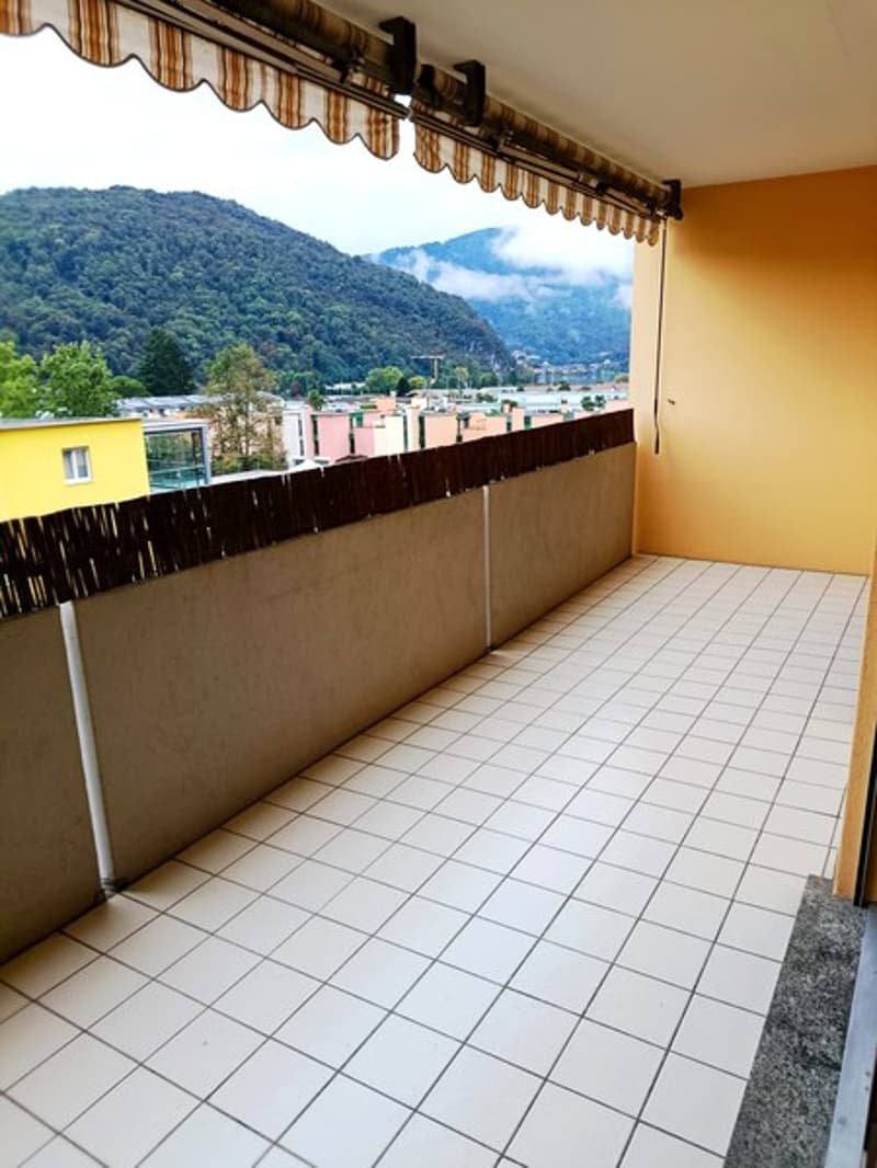 Nous louons appartement 2.5 pièces avec cheminée à Caslano (4)