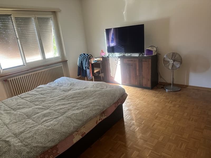 Appartement 1,5 pièces (environ 42 m2) au RDC (3)