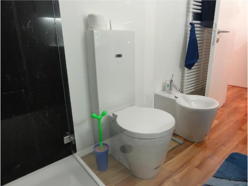 Aldesago - appartement à vendre, rénové, 2½ pièces, CHF. 795.000 (8)