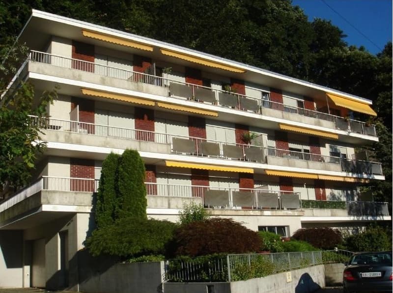 Aldesago - appartement à vendre, rénové, 2½ pièces, CHF. 795.000 (2)