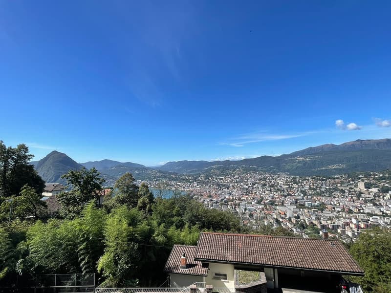 Aldesago - appartement à vendre, rénové, 2½ pièces, CHF. 795.000 (1)
