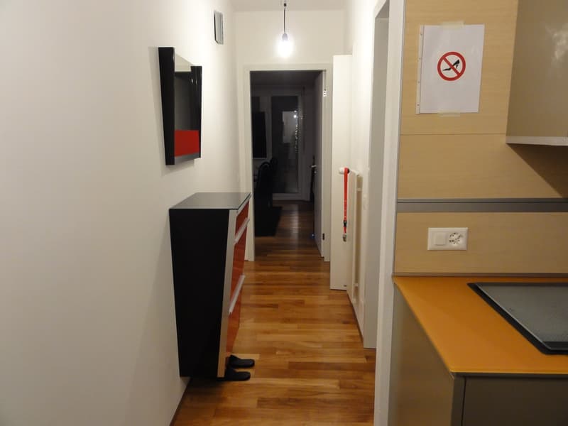 Aldesago - appartement à vendre, rénové, 2½ pièces, CHF. 795.000 (4)