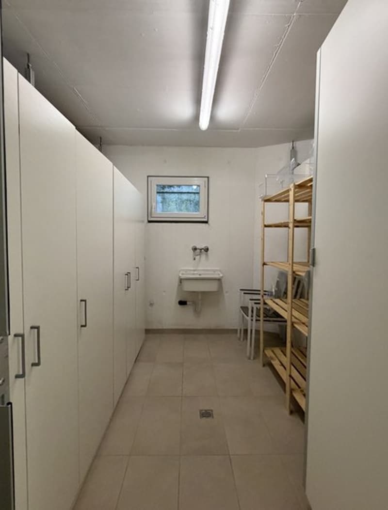Elegante appartamento arredato di 3.5 locali con vista lago (12)