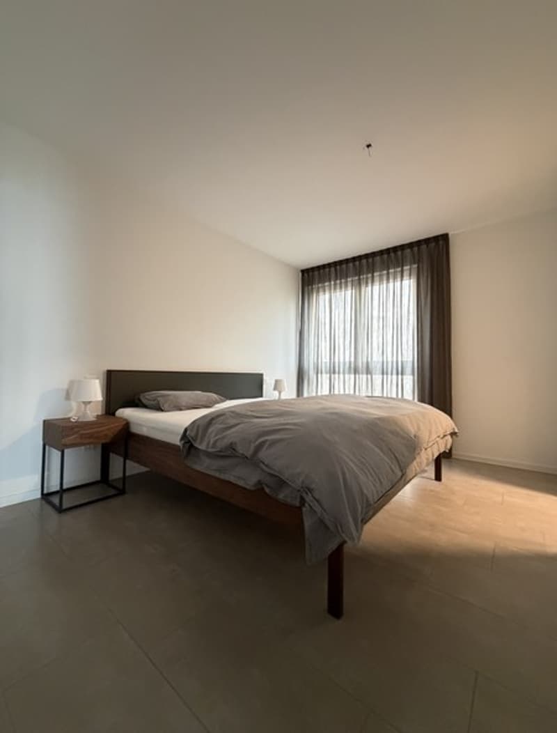 Elegante appartamento arredato di 3.5 locali con vista lago (5)