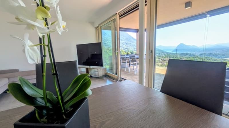 Elegante appartamento arredato di 3.5 locali con vista lago (4)