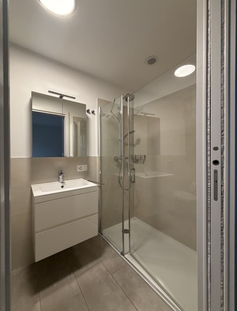 Elegante appartamento arredato di 3.5 locali con vista lago (6)