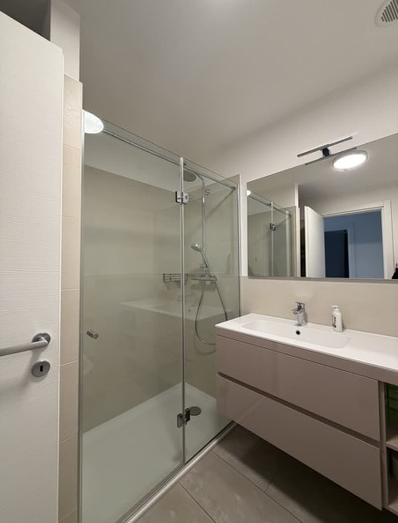Elegante appartamento arredato di 3.5 locali con vista lago (9)