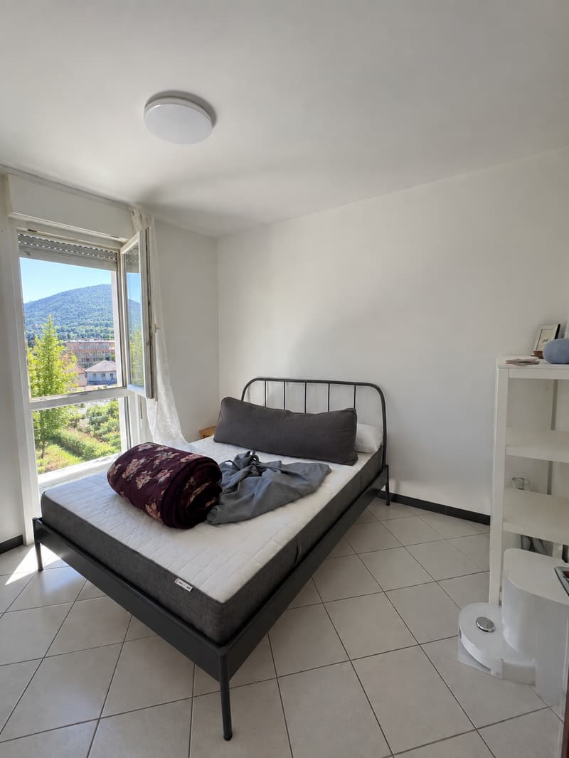 Affittiamo bellissimo e ampio 4.5 locali (8)