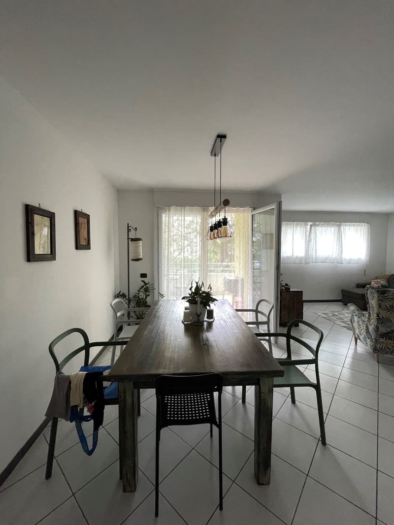 Affittiamo bellissimo e ampio 4.5 locali (3)