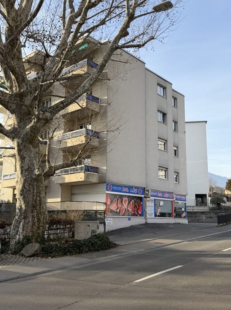 Appartamento 2.5 locali in zona comoda e ben servita (1)