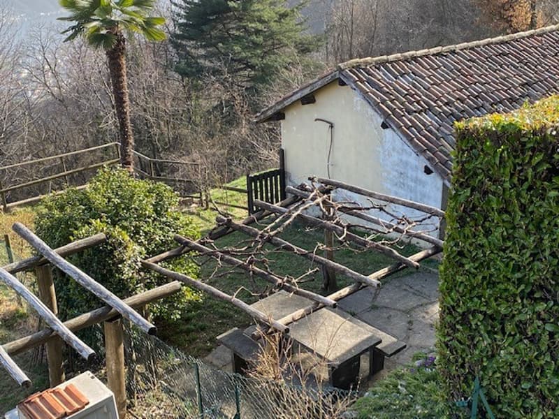 Giardino