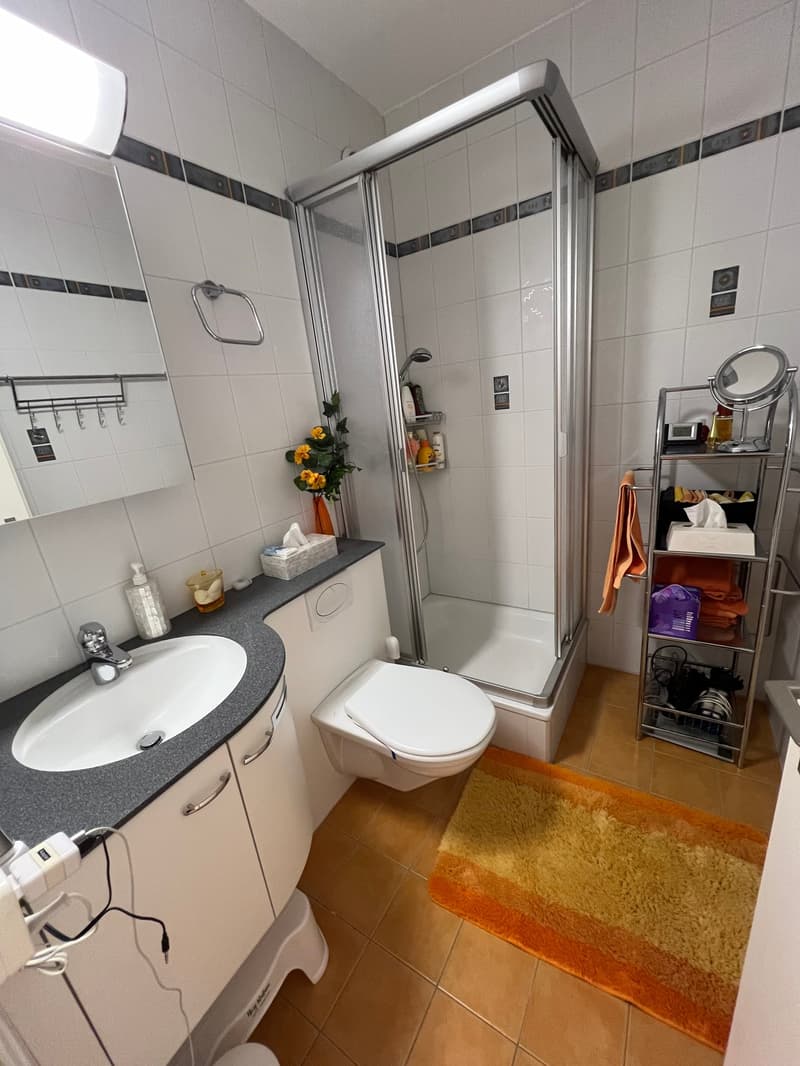 Residence Centro Cadro Panoramica - Appartamento 3.5 locali (12)