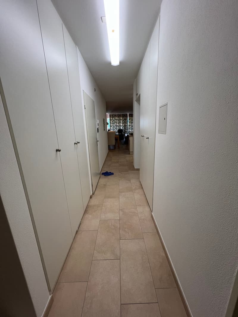 Residence Centro Cadro Panoramica - Appartamento 3.5 locali (7)