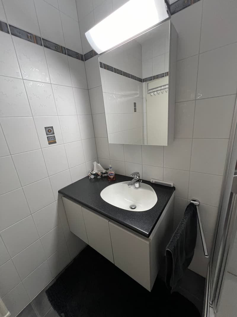Residence Centro Cadro Panoramica - Appartamento 3.5 locali (11)