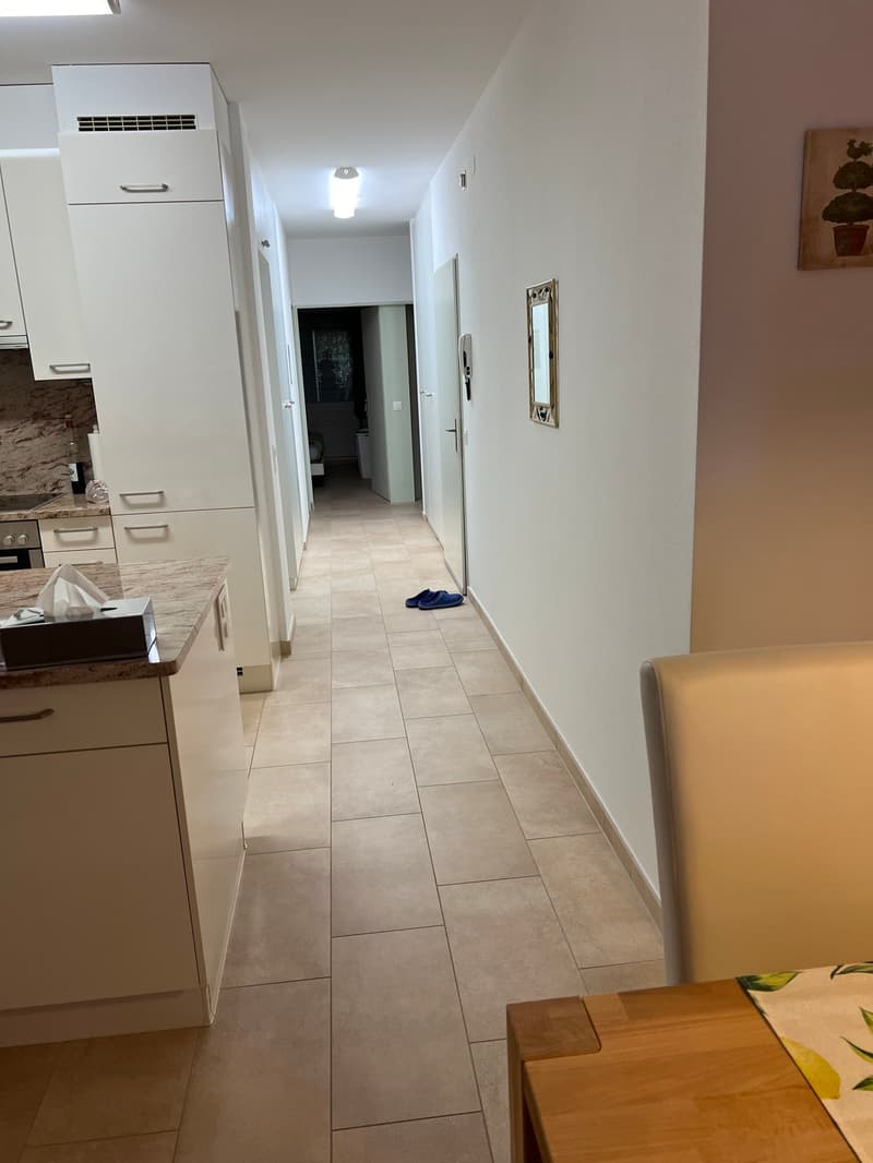 Residence Centro Cadro Panoramica - Appartamento 3.5 locali (6)