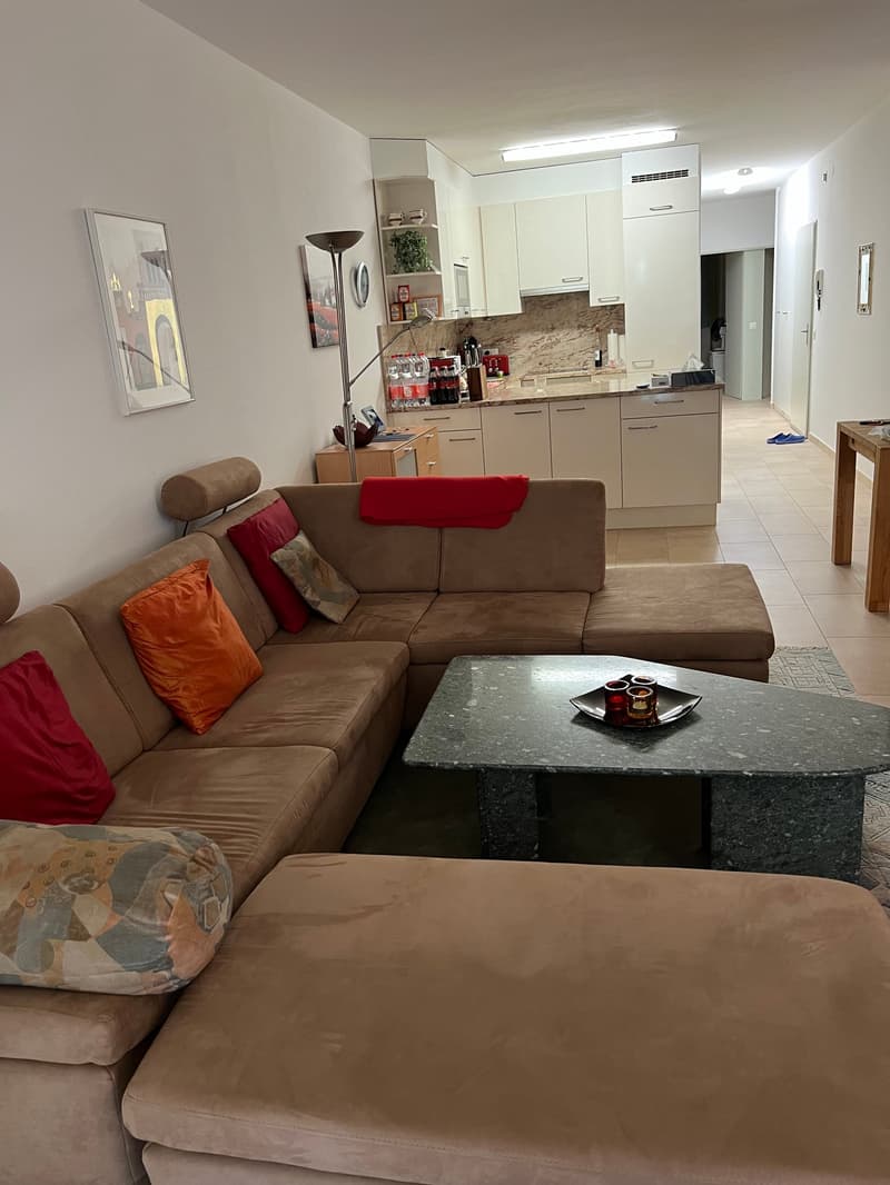 Residence Centro Cadro Panoramica - Appartamento 3.5 locali (2)