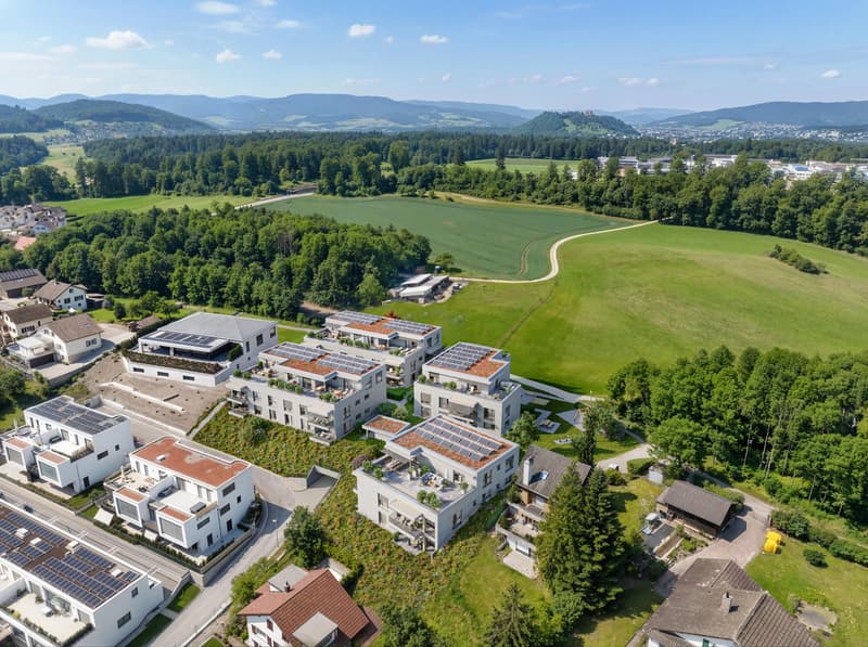 Brisenwiese Seon - Vivre avec une vue (7)