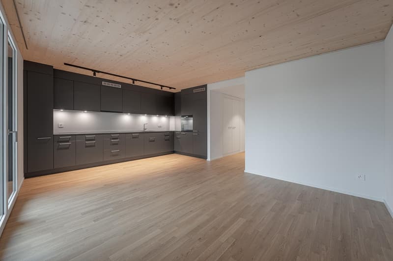 4.5 Zimmerwohnung in Uster (5)