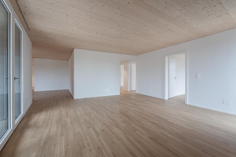 4.5 Zimmerwohnung in Uster (6)